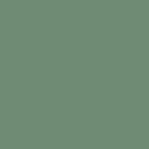 Eucalyptus - Spectrum Cotton Solids By Makower