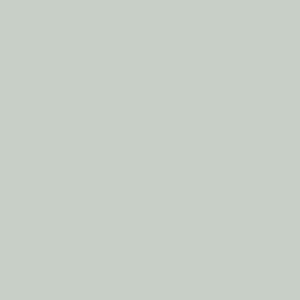Glacier Grey - Spectrum Cotton Solids By Makower