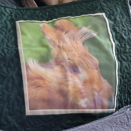 a cushion cover made using a focal photo of a bunny with narrow white border and wider green border, featuring free motion quilting 